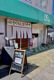 さくらんぼうの木
