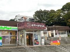 小矢部川ＳＡ