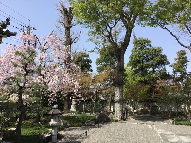 投稿写真8