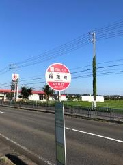「稲葉町」バス停留所
