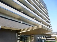 株式会社Ｆｒｅｅ　ｗｉｎｇ