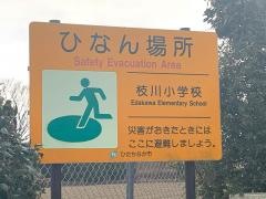 枝川小学校