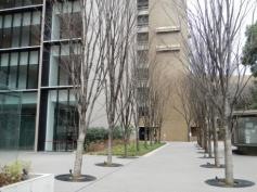 中央大学　後楽園キャンパス