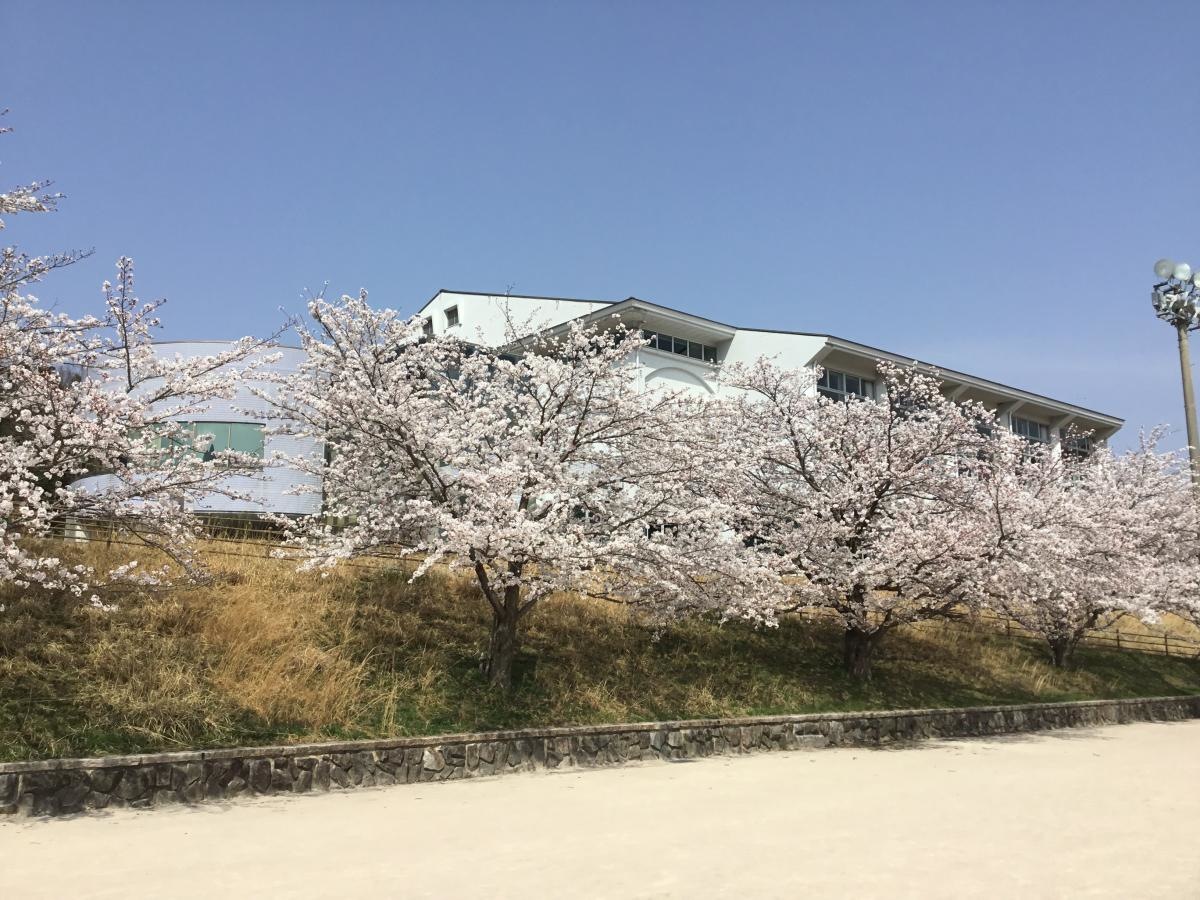 粟野スポーツセンター