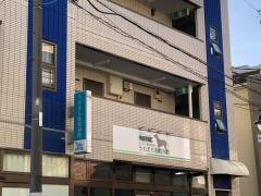 うわまち動物病院