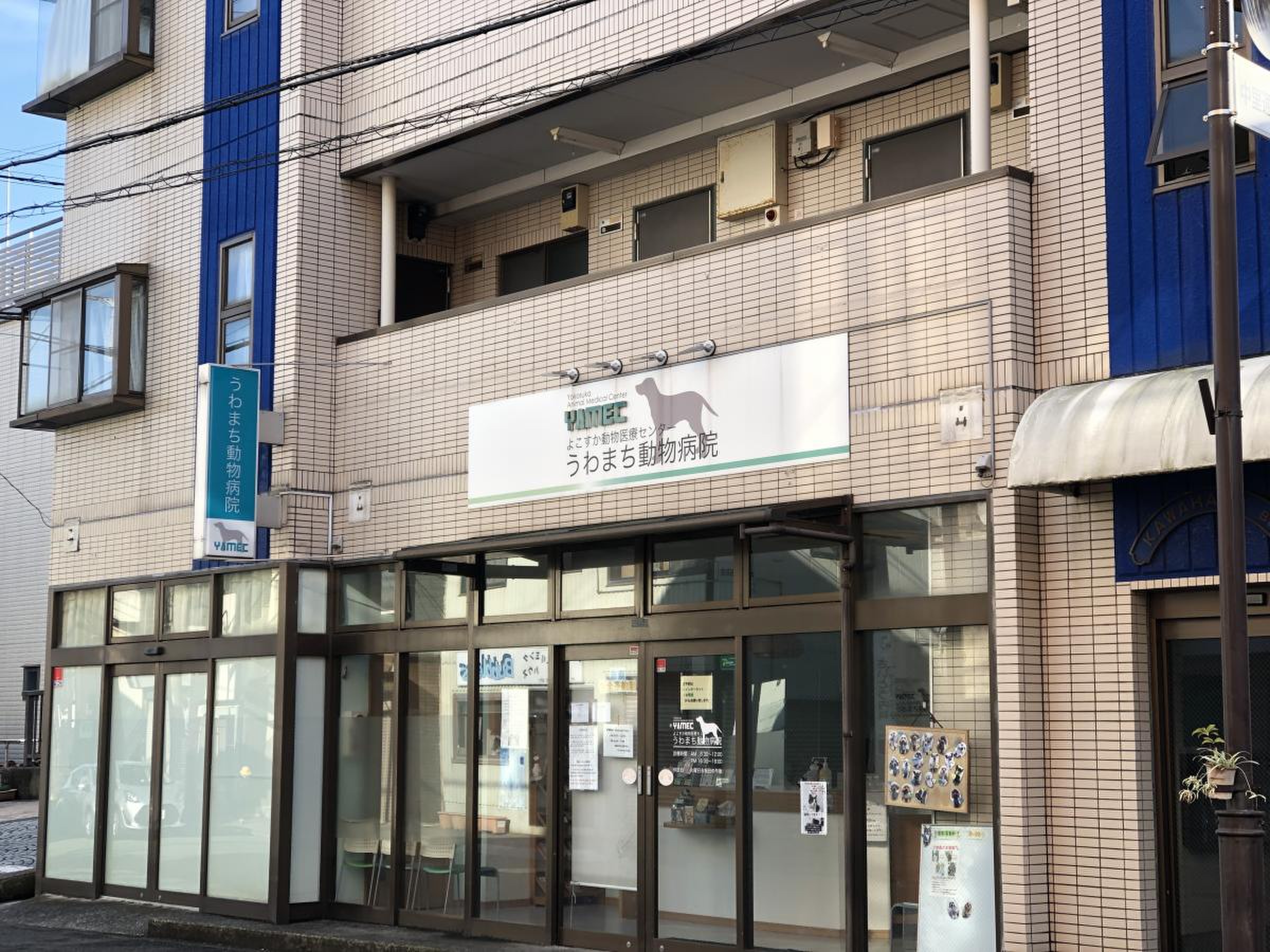 うわ まち 動物 病院