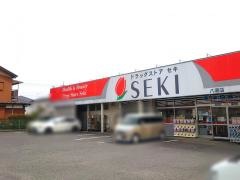 ドラッグストアセキ八潮店
