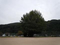 布野小学校