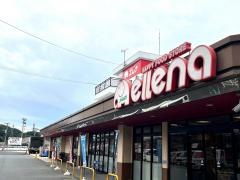エレナ天神店