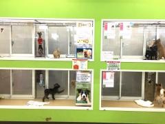 ペットコミュニティプラザ日進店