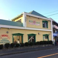 みさきペットショップ
