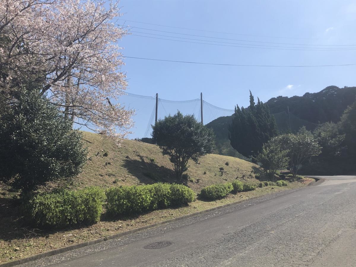 施設の様子