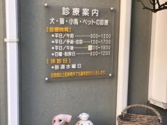 あべ動物病院