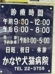 猫の病院かなや