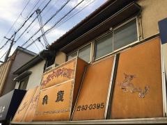 飛竜