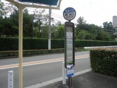 「緑町」バス停留所
