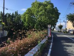 「浜線健康パーク入口」バス停留所