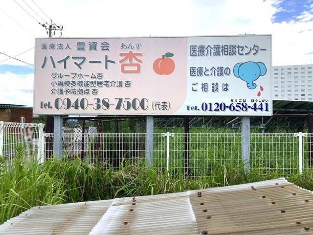 杏