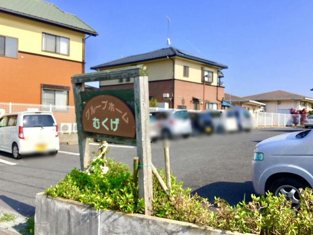 むくげ