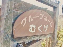 むくげ
