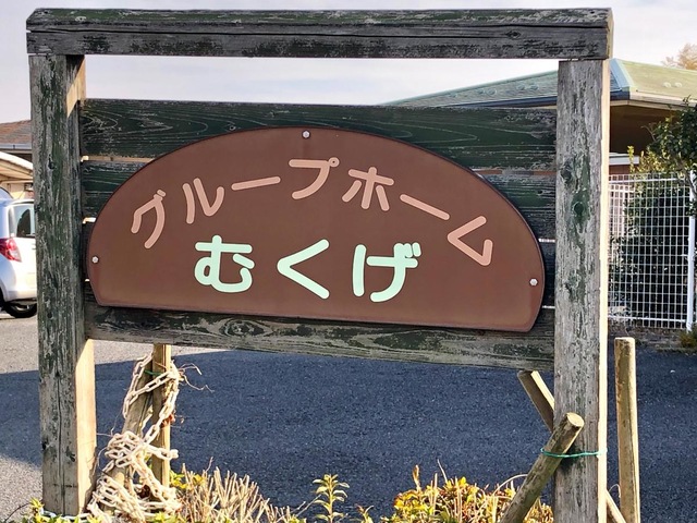 むくげ