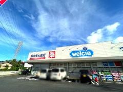 ウエルシア　柏南増尾店