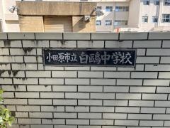 小田原市立白鴎中学校
