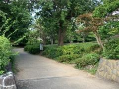 金井公園