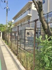 上坂部小学校