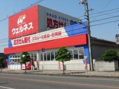 ドラッグストアウェルネス境港店
