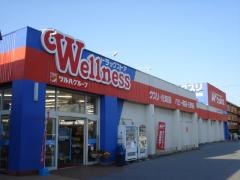 ドラッグストアウェルネス川津店