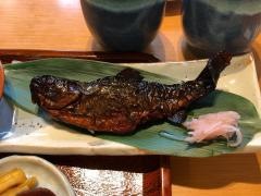 和食知音亭