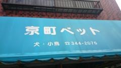 京町ペットショップ
