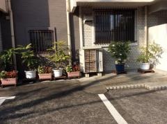 福沢医院