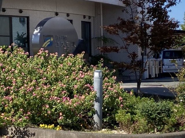 明星苑コスモス 風景