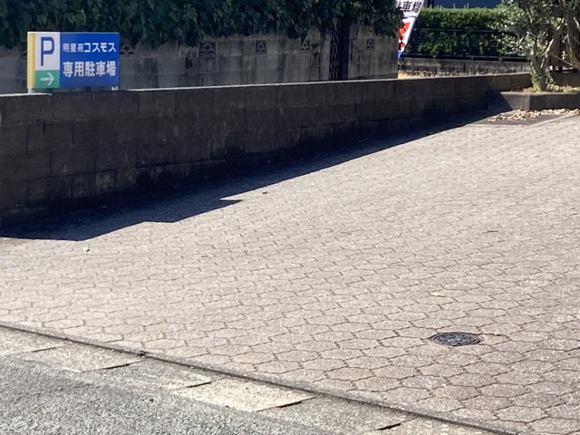 明星苑コスモス 風景