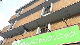 城町わんにゃんクリニック