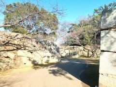 萩城跡指月公園