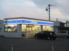 ローソン　南河内薬師寺店