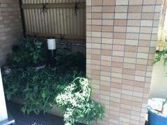 つるや旅館