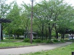 多加木公園