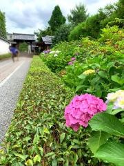 宿坊東林院