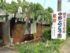 中野ぶどう園