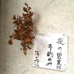 河喜久