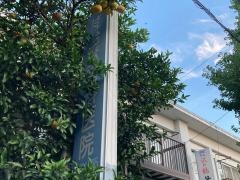 桂台獣医科医院