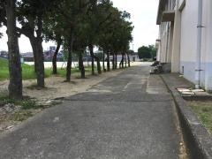 五井小学校