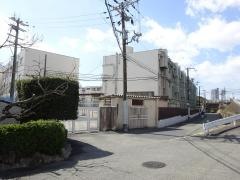 伝法小学校