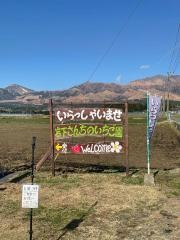 南阿蘇岩下さんちのいちご園