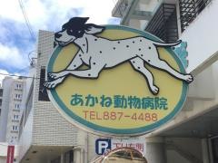 あかね動物病院