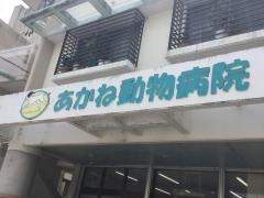あかね動物病院